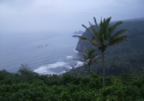 Pololu Valley