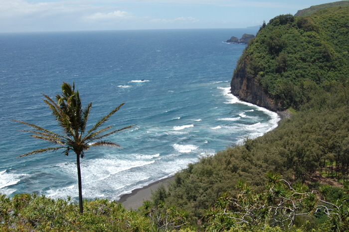 Pololu Valley 22