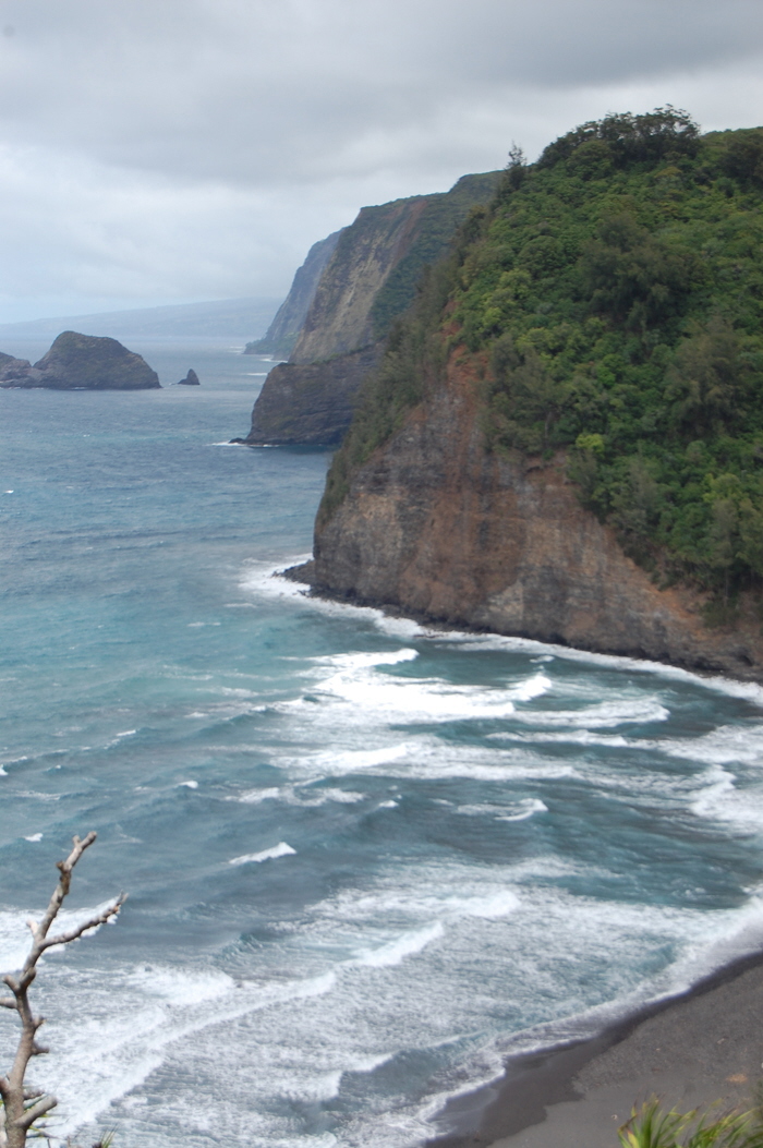 Pololu Valey 4