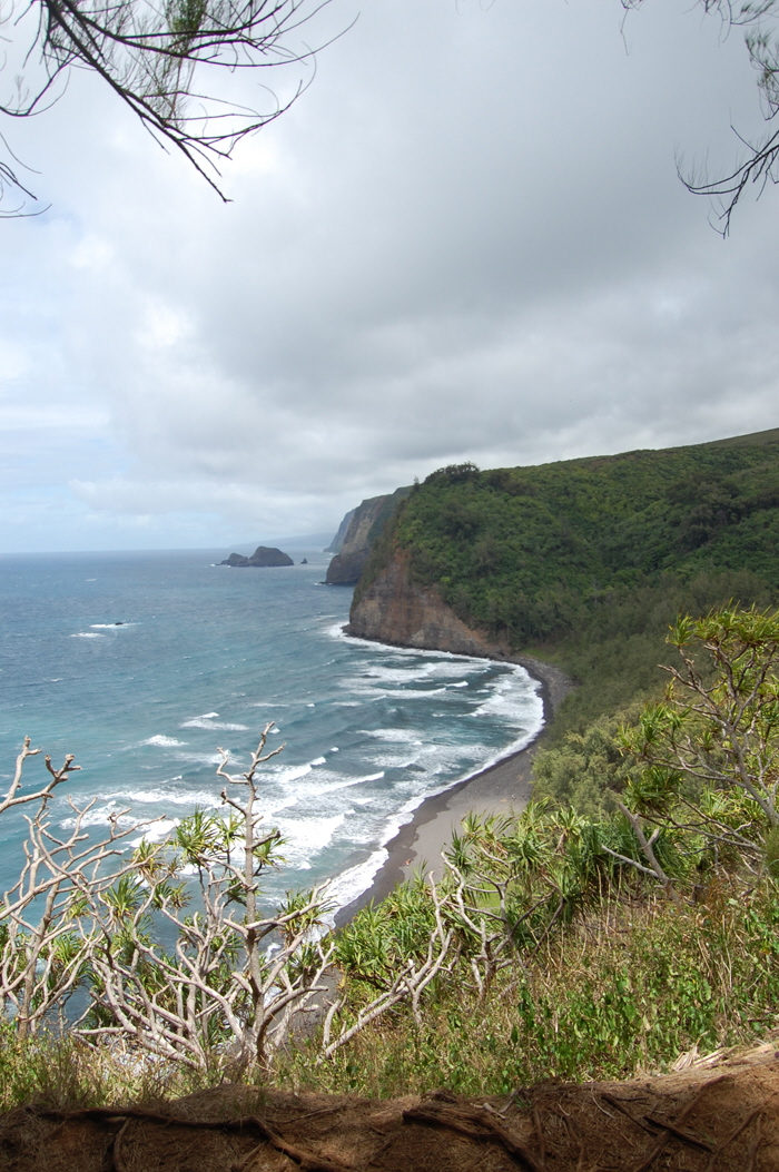 Pololu Valley 6