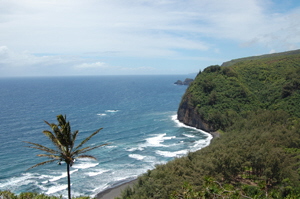 Pololu Valley Thumb